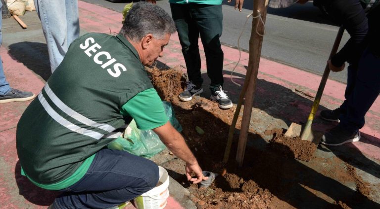 Plantio_da_SECIS_Otavio-Santos_SECOM_PMS-172-1536x1025