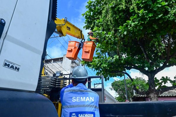 Poda_em_Salvador_equipamento_que_tritura_galhos_e_transforma_em_resduos_orgnicos_Foto_-Jefferson-Peixoto_Secom_Pms-32-2048x1367