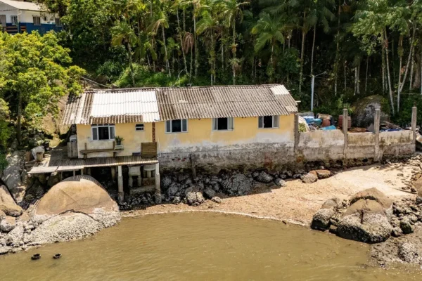 Projeto-utiliza-minhocas-para-tratar-esgoto-no-litoral-do-Parana-entenda