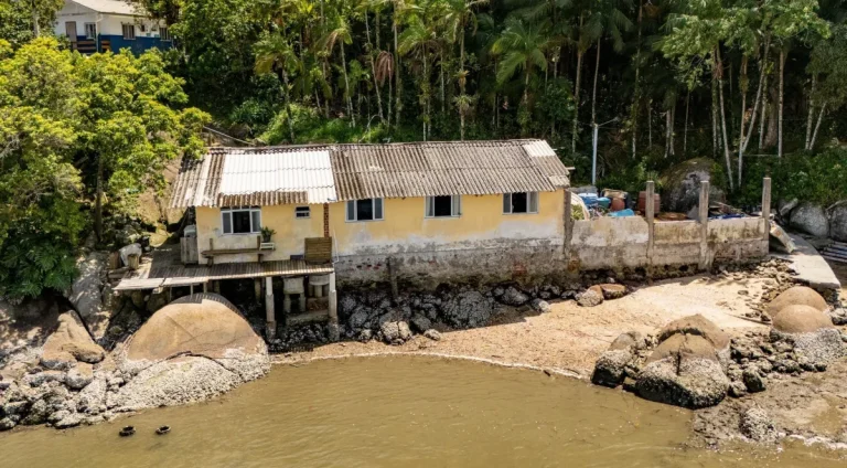 Projeto-utiliza-minhocas-para-tratar-esgoto-no-litoral-do-Parana-entenda