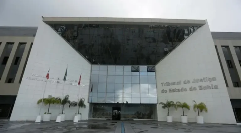 TJBA-promove-evento-para-reconhecimento-de-paterni0128231900202408112258-ScaleDownProportional