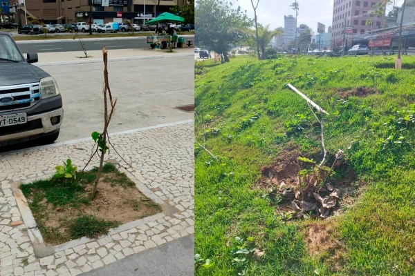 Vandalismo