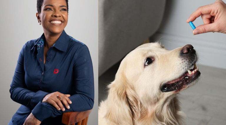 Veterinária e remédio