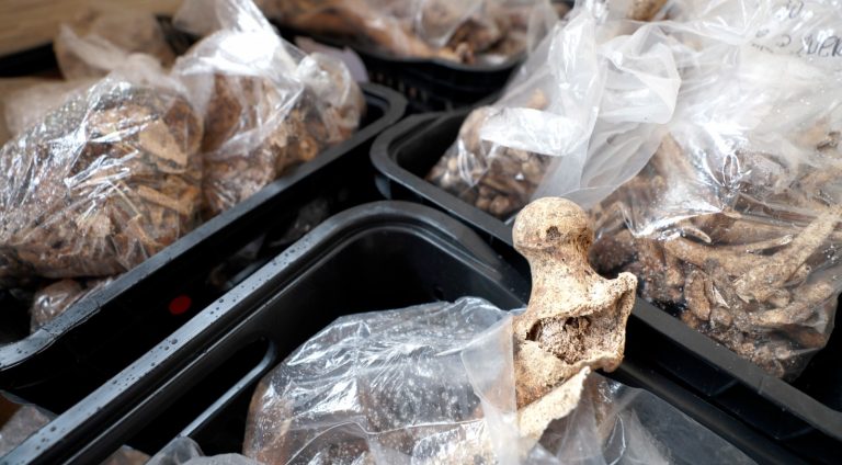 Descoberta arqueológica no Recôncavo Baiano revela história milenar