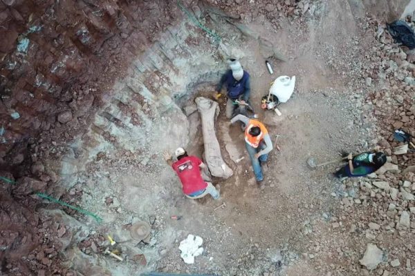 achado-paleontologico-brado-4-1536x1152