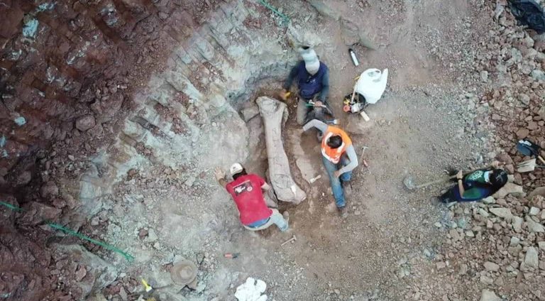 achado-paleontologico-brado-4-1536x1152