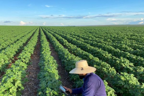 agricultura baiana