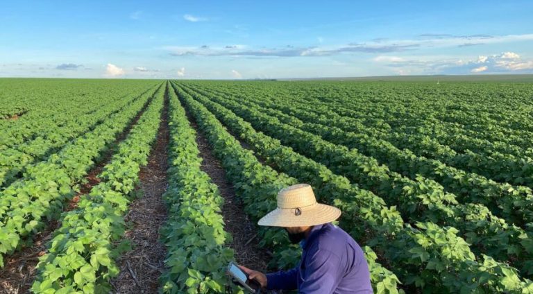 agricultura baiana
