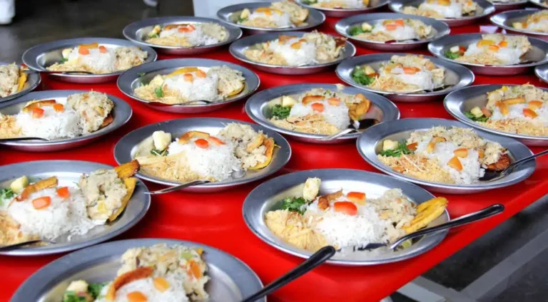 alimentacao.jpg