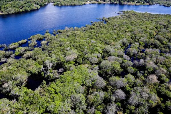 amazonia