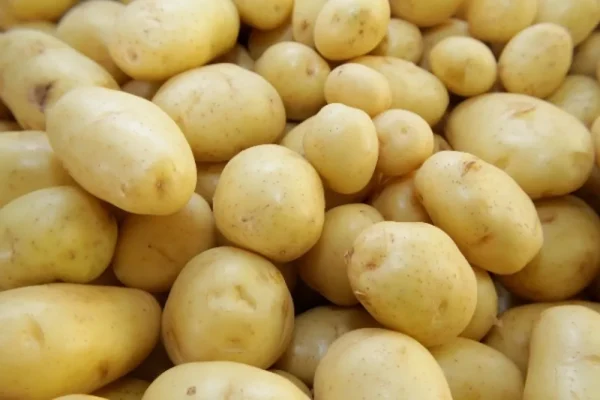 batata (1)