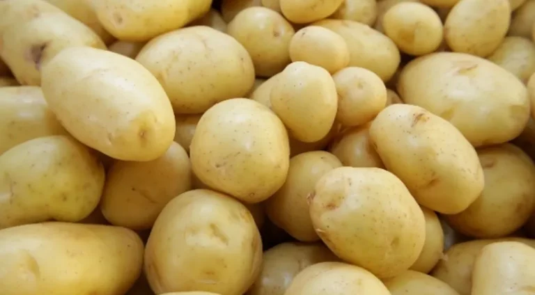 batata (1)