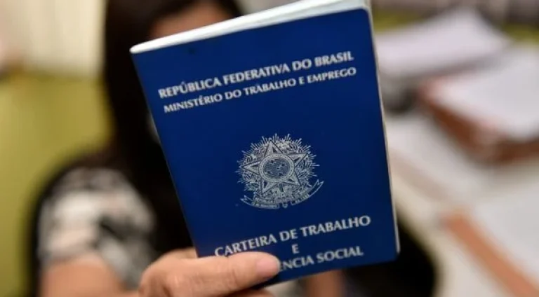 carteira-de-trabalho-323076-article
