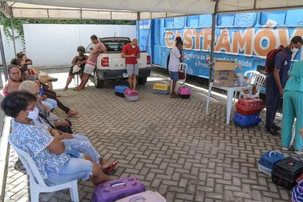 castramovel-atende-em-shopping-de-salvador_widelg