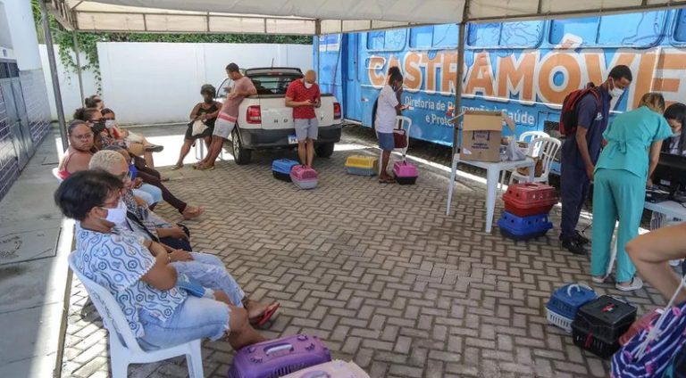 castramovel-atende-em-shopping-de-salvador_widelg
