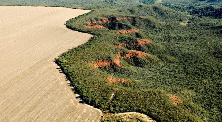 cerrado