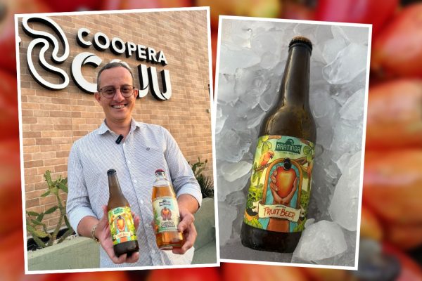 cerveja de caju