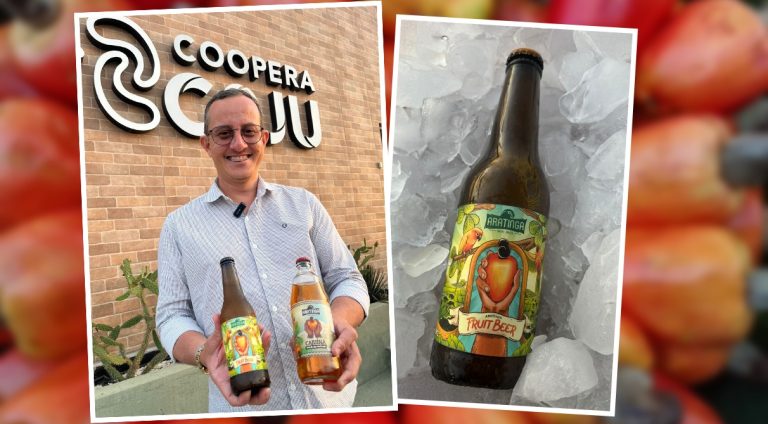 cerveja de caju