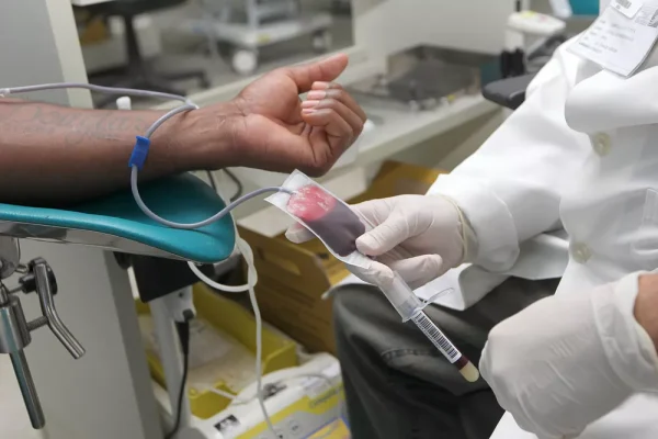 ciclo-do-sangue-na-hemoba-36433645245-o