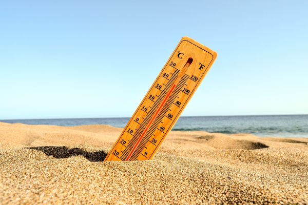 A selective focus shot of a thermometer in the beach sand with a blurred background
