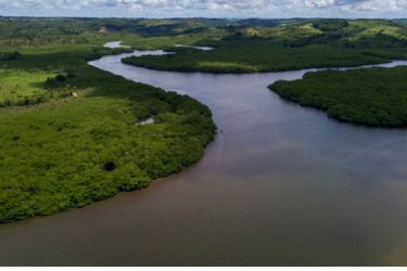 Foto: Flavio Forner/ Minidtério do Meio Ambiente
