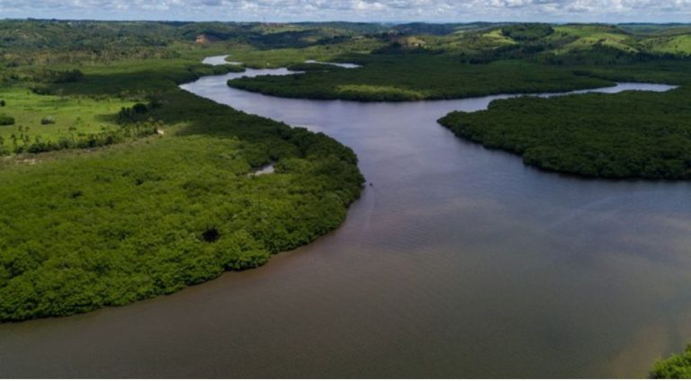 Foto: Flavio Forner/ Minidtério do Meio Ambiente
