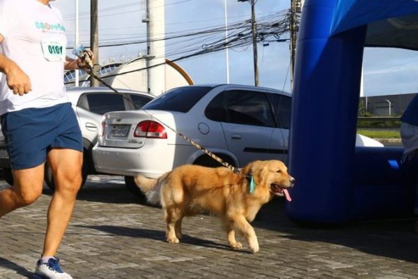 corrida-de-cachorro_widelg
