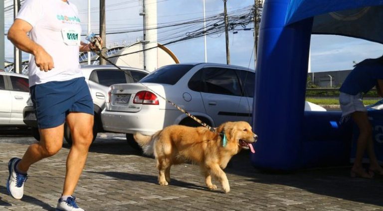 corrida-de-cachorro_widelg