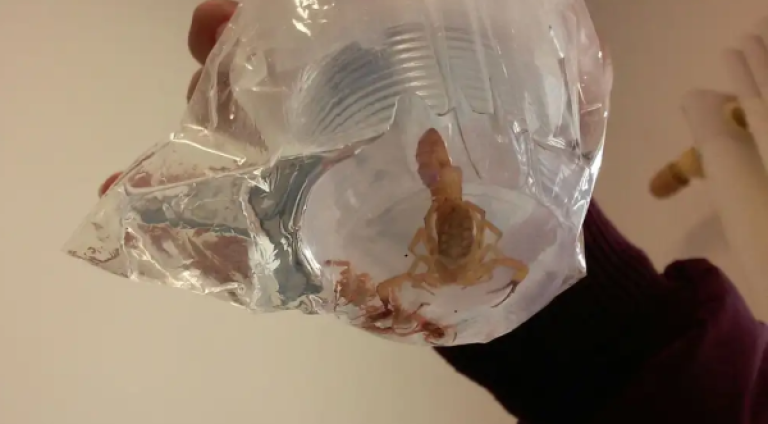 Foto: Arquivo | Agência Brasil
