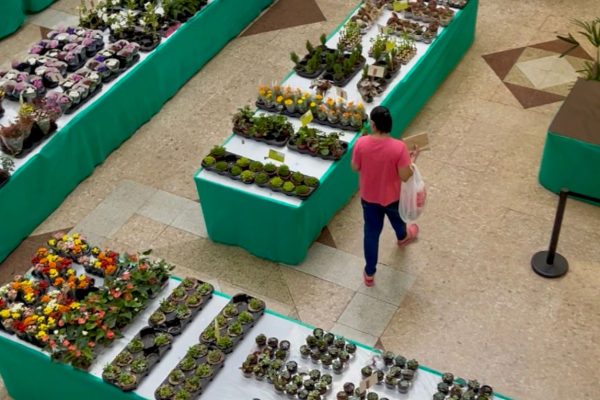 feira