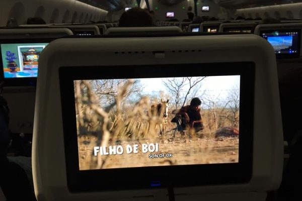 filhodeboinaarifrance