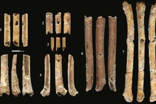 flautas-de-ossos-12-mil-anos