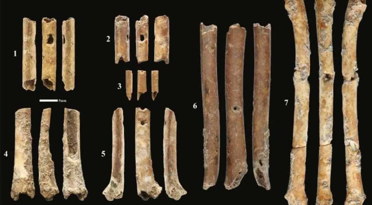 flautas-de-ossos-12-mil-anos