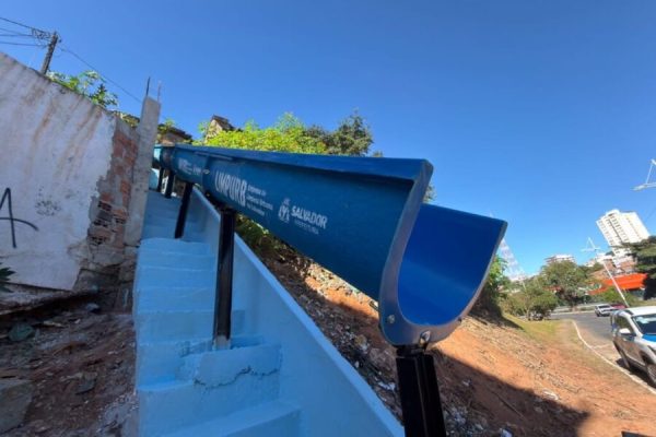 Foto: Divulgação/Ascom Limpurb