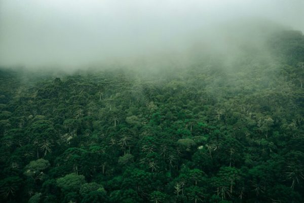 gabriel-ramos-jzuPsP44Lo0-unsplash