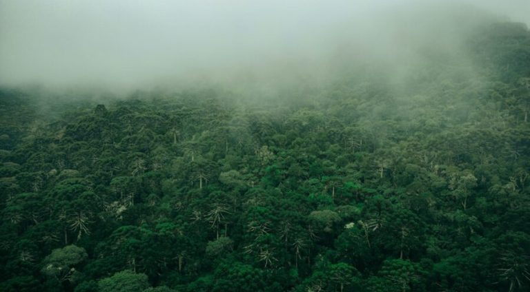 gabriel-ramos-jzuPsP44Lo0-unsplash
