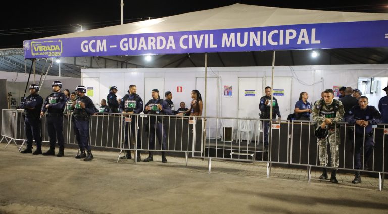 gcm_festival_virada_foto_lucas_moura_secom_pms