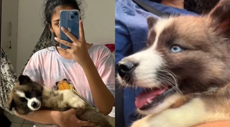 jovem-compra-cao-sem-contar-para-familia_widelg