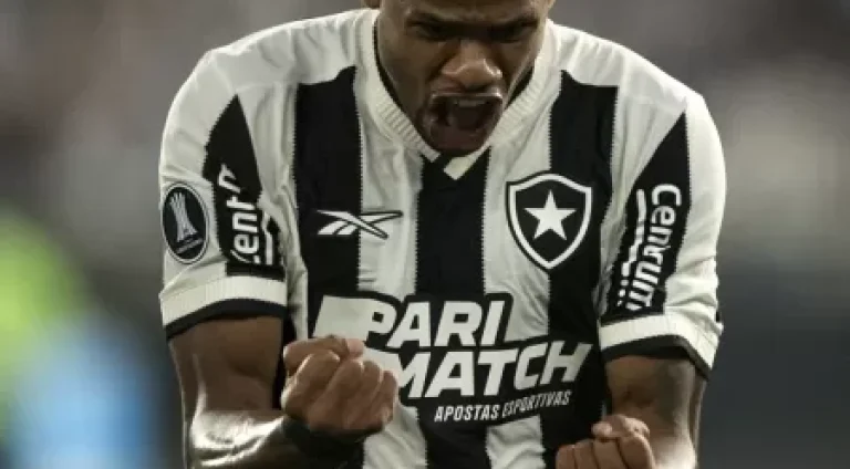 junior-santos-comemora-o-segundo-gol-do-botafogo-sobre-a-ldu-pela-libertadores-1715221622283_v2_450x450.jpg