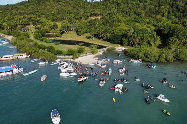 livasaxbsb_aloalobahia