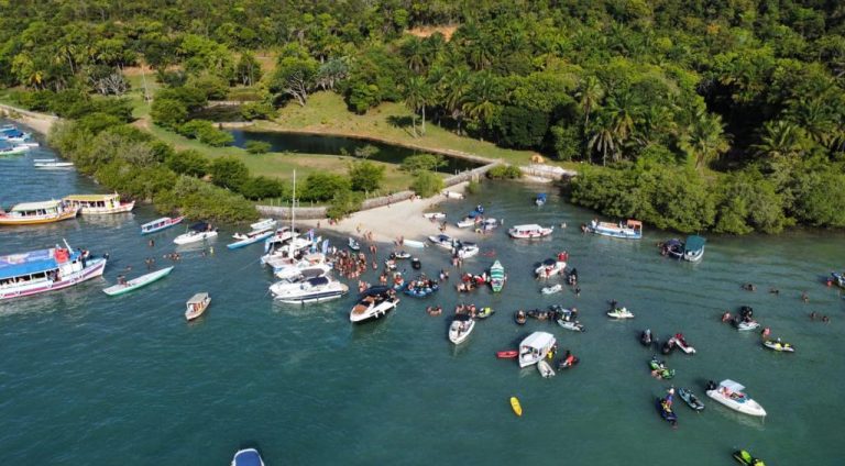 livasaxbsb_aloalobahia
