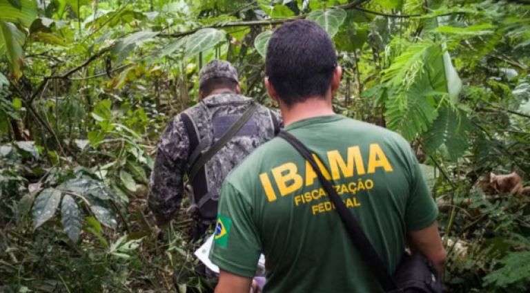 Foto: Vinicius Mendonça | Ibama
