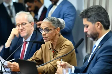 marina-silva-1k1wsd7r76sl2