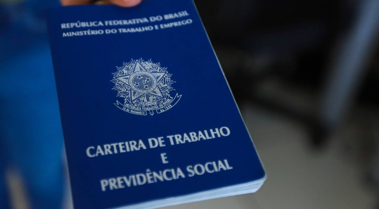 Paraná é líder no ranking nacional de geração de empregos com carteira assinada e diferença é superior a 95% do segundo colocado
Foto: Geraldo Bubniak