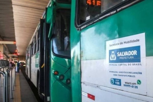 onibus-salvador-1-800x450