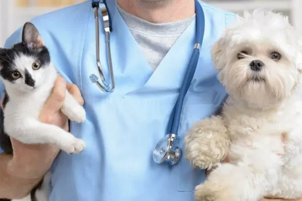 pets-veterinario-1-1024x614.jpg