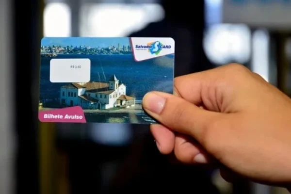 salvador-card-3183449-article