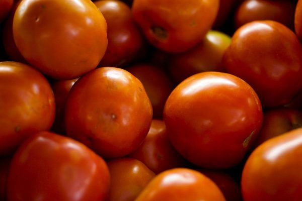 tomate_elza_fiuza_agencia_brasil